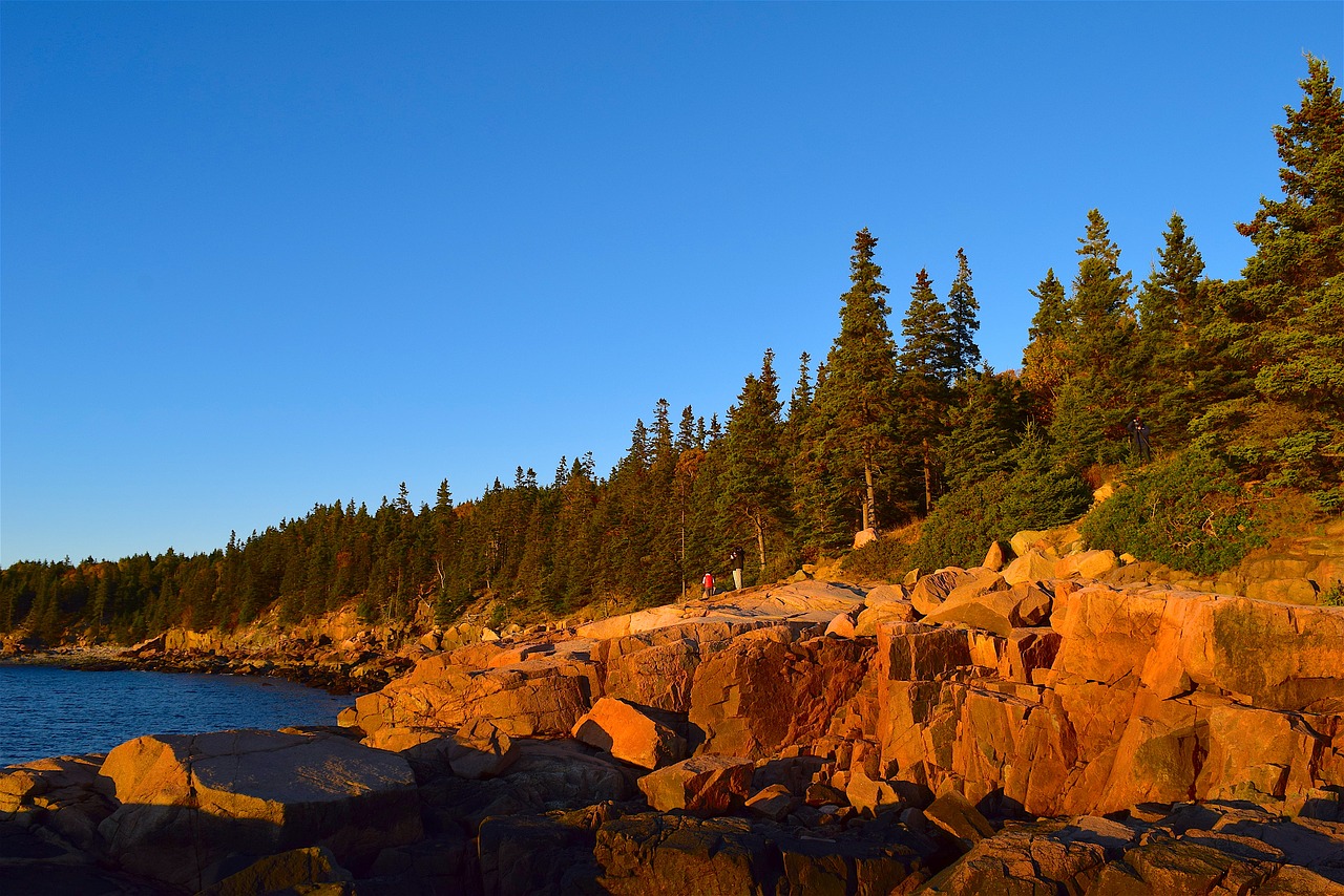 sunset trees rocks free photo