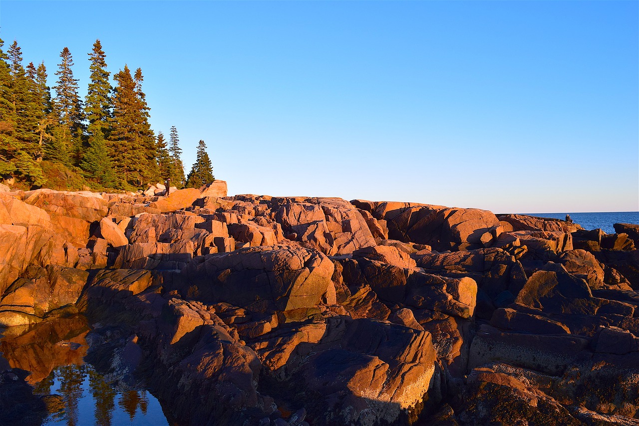 sunset trees rocks free photo