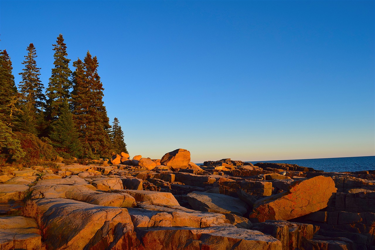 sunset trees rocks free photo