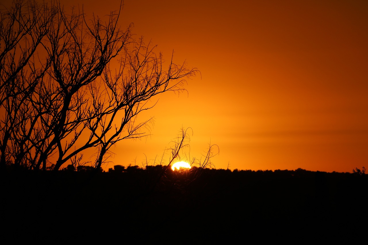 sunset sky twilight free photo