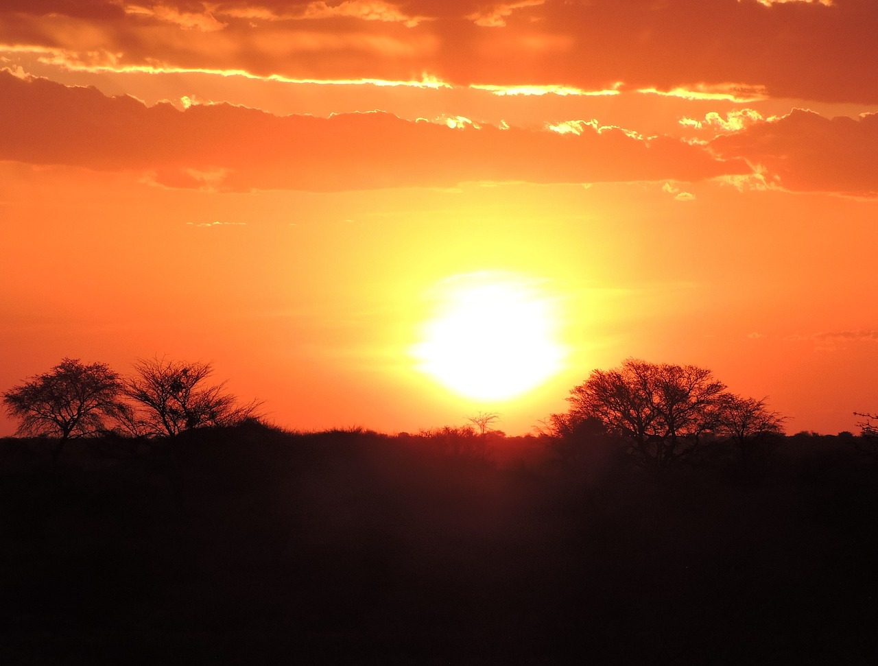 sunset namibia kalahari desert free photo