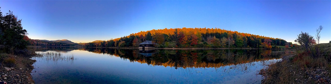 sunset lake trees free photo