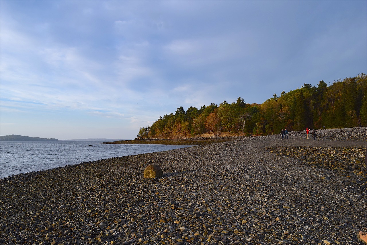 sunset shore rocks free photo