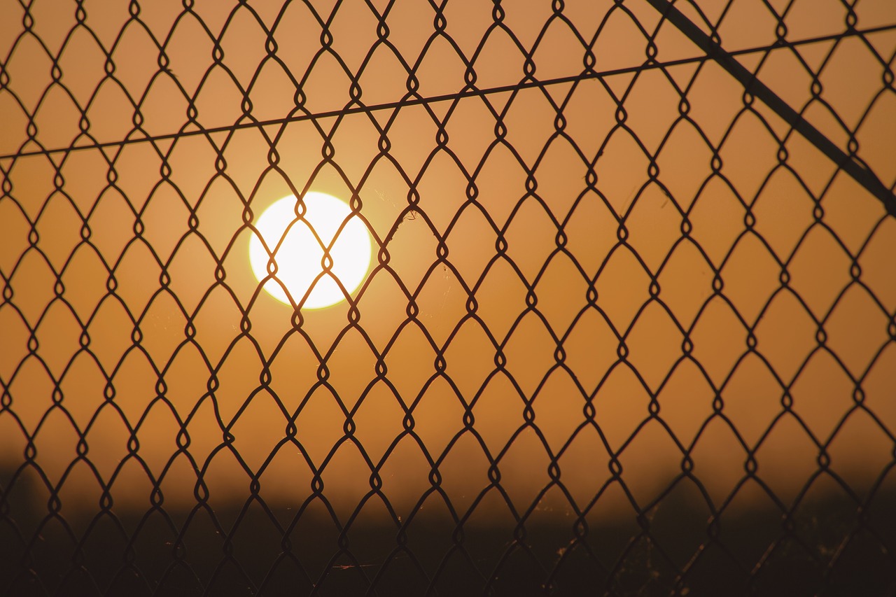 sunset fence grid free photo