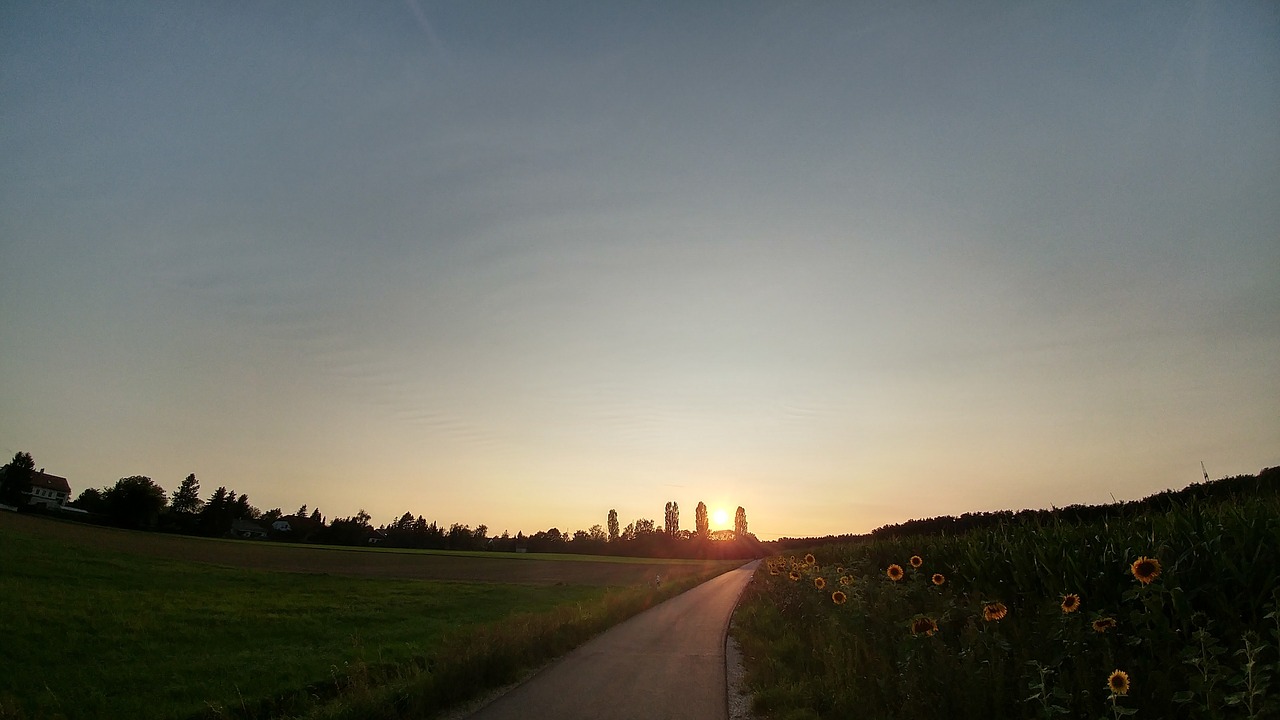 sunset nature evening sky free photo