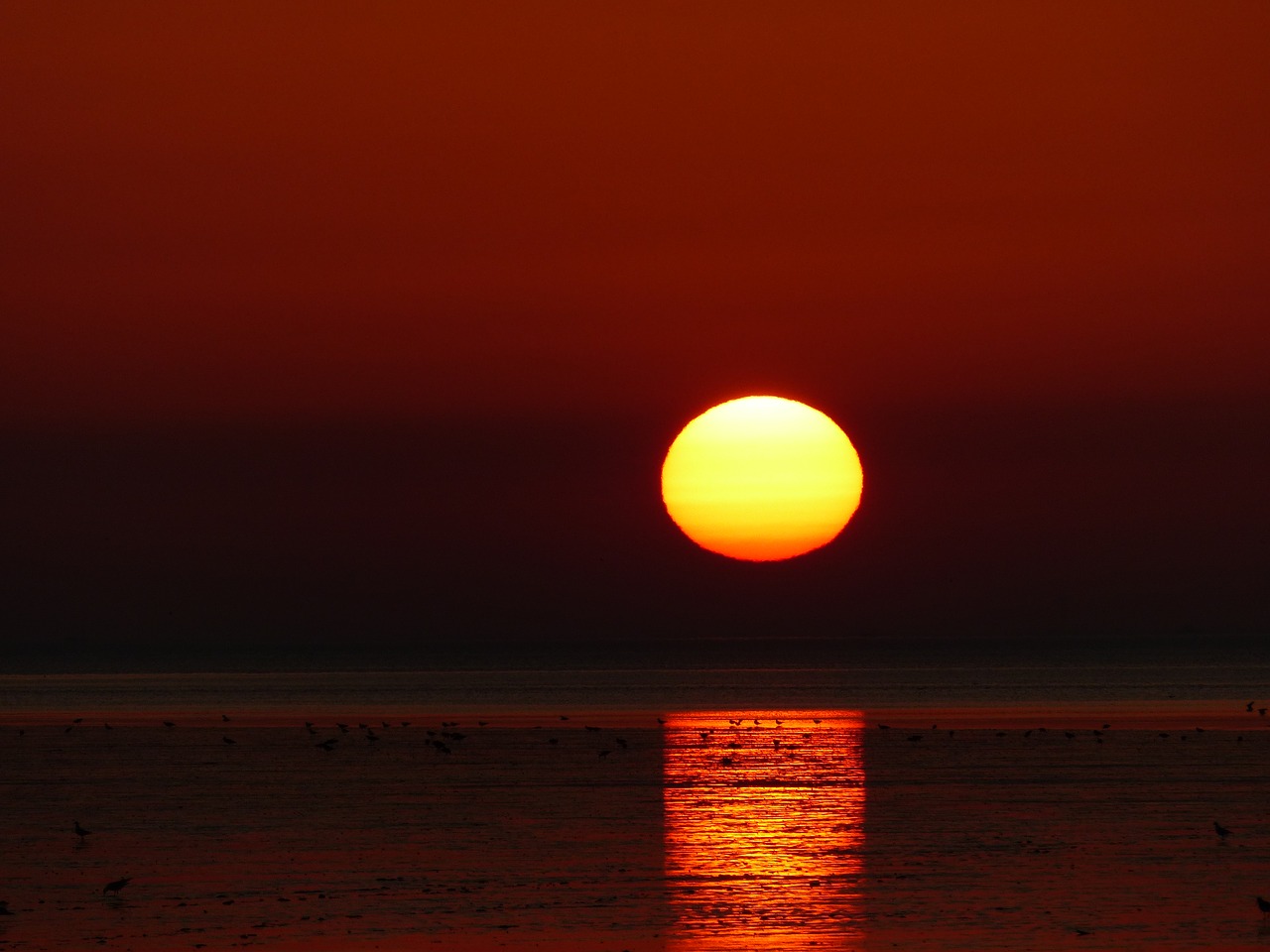 sunset north sea nordfriesland free photo