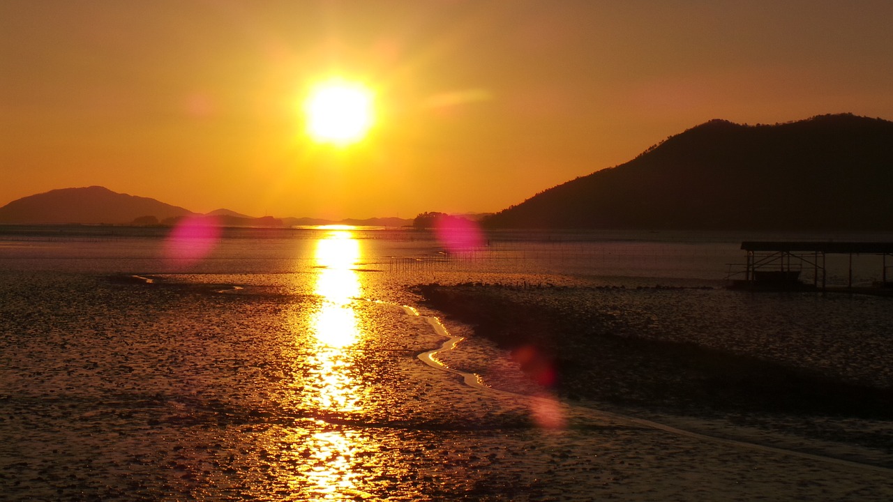 sunset suncheon bay tidal free photo