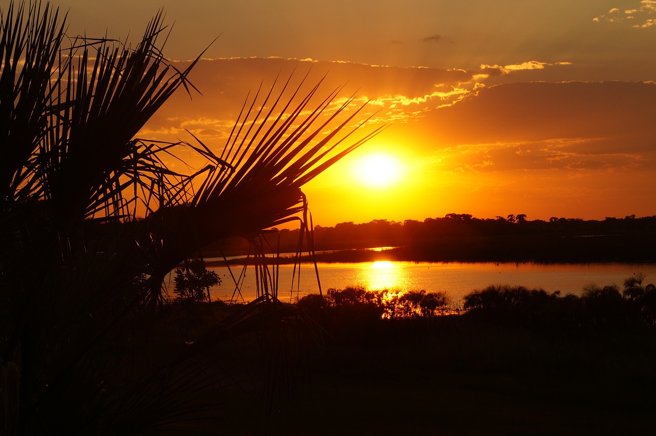 sunset botswana landscape free photo