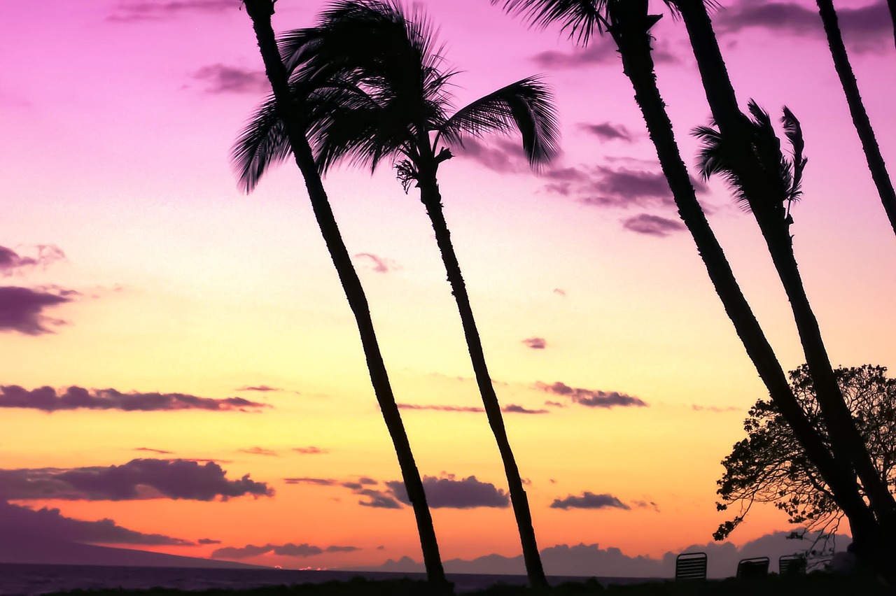 sunset beach hawaii free photo