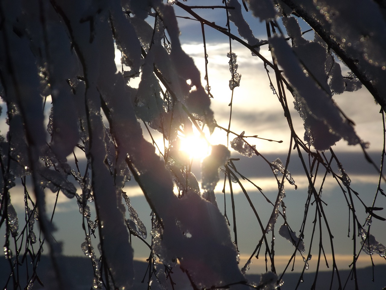 sunset sopelki ground frost free photo