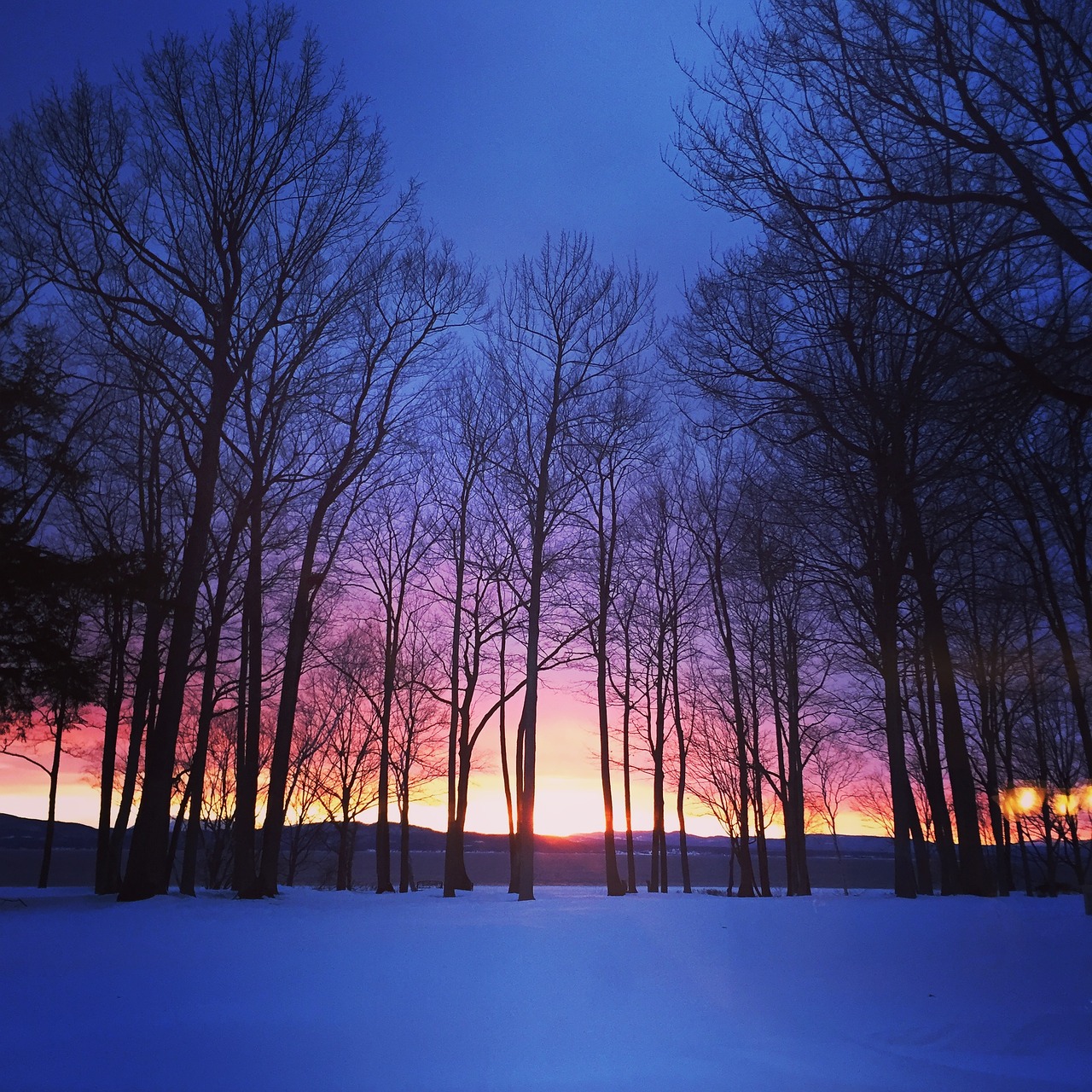 sunset winter blue free photo