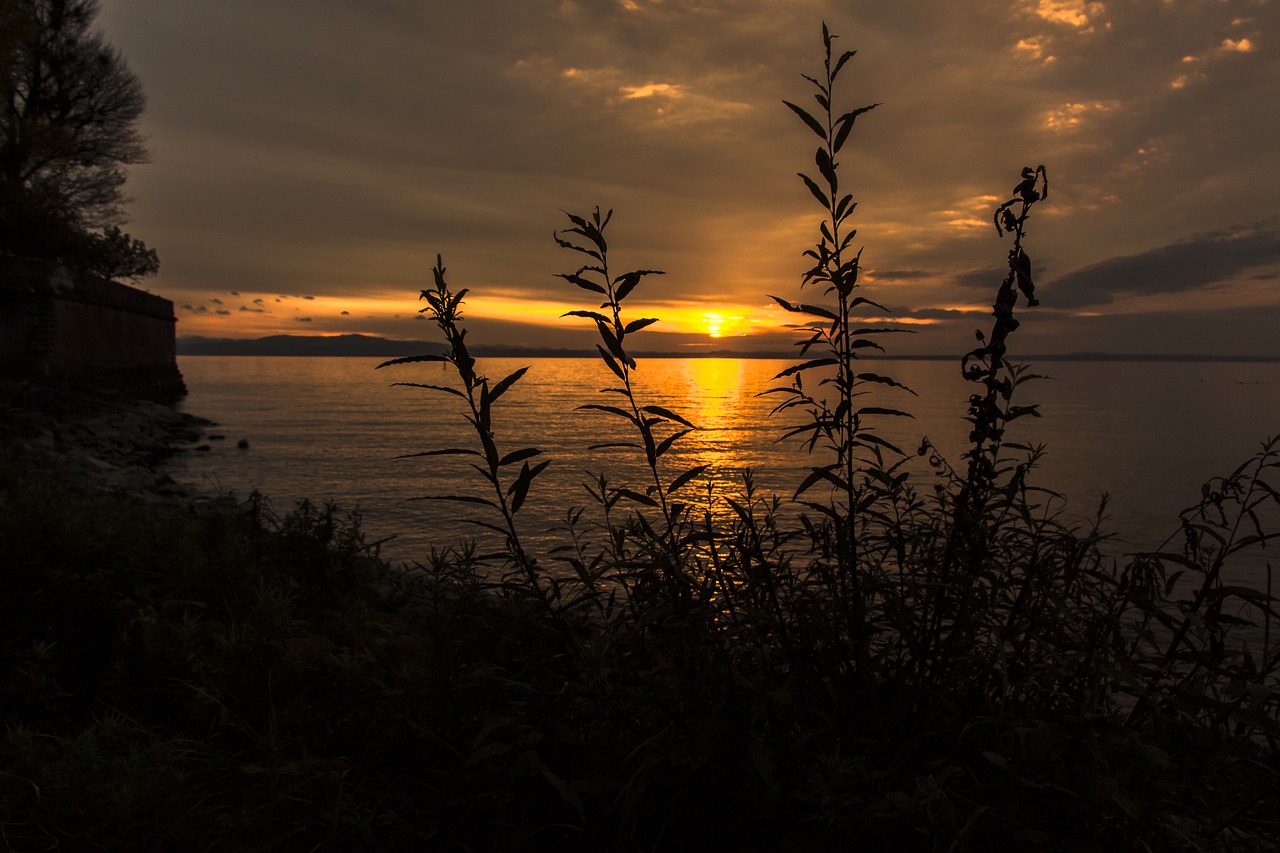 sunset lake constance langenargen free photo