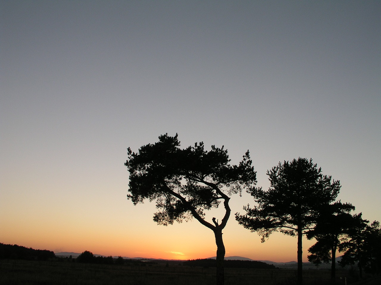 sunset orava vistas free photo