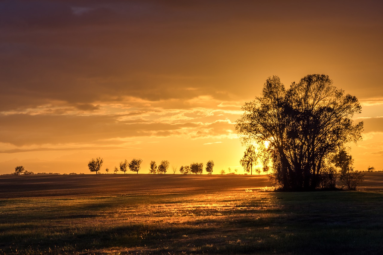 sunset sun golden free photo