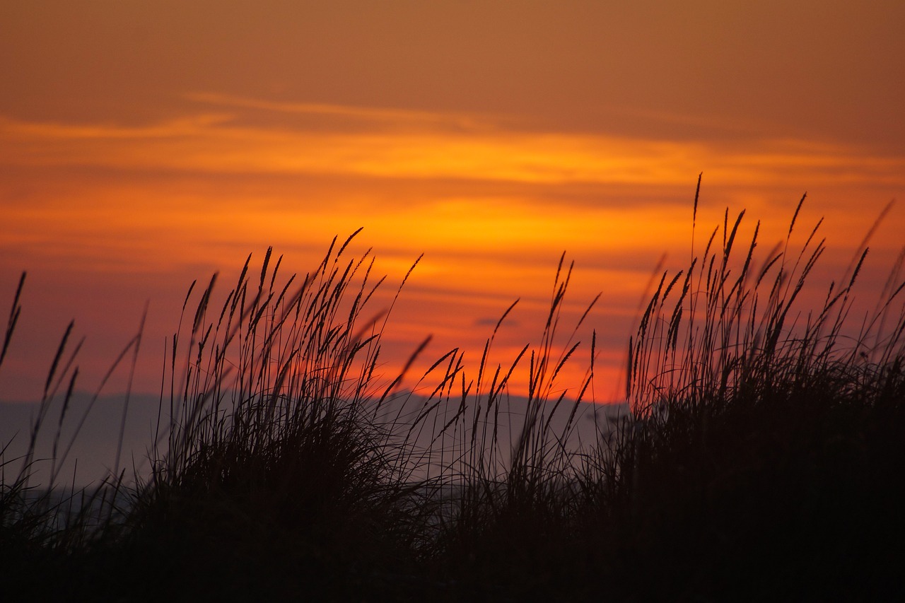 sunset dungeness spit seascape free photo