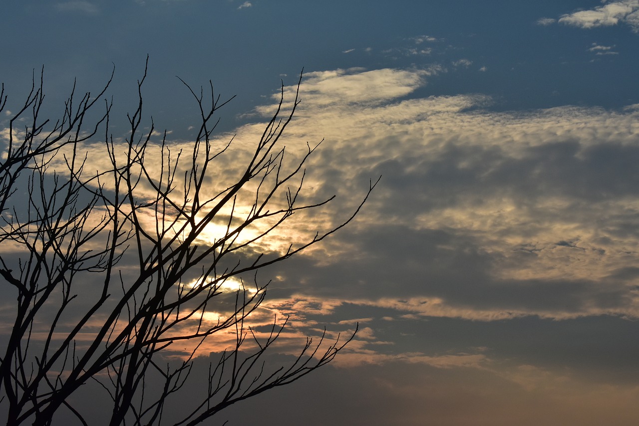 sunset dusk clouds free photo