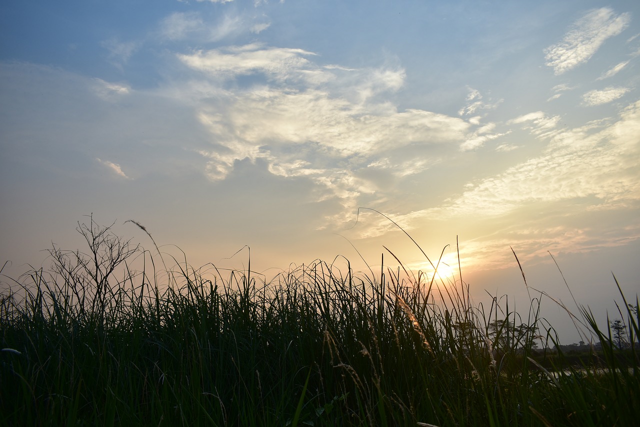 sunset dusk clouds free photo