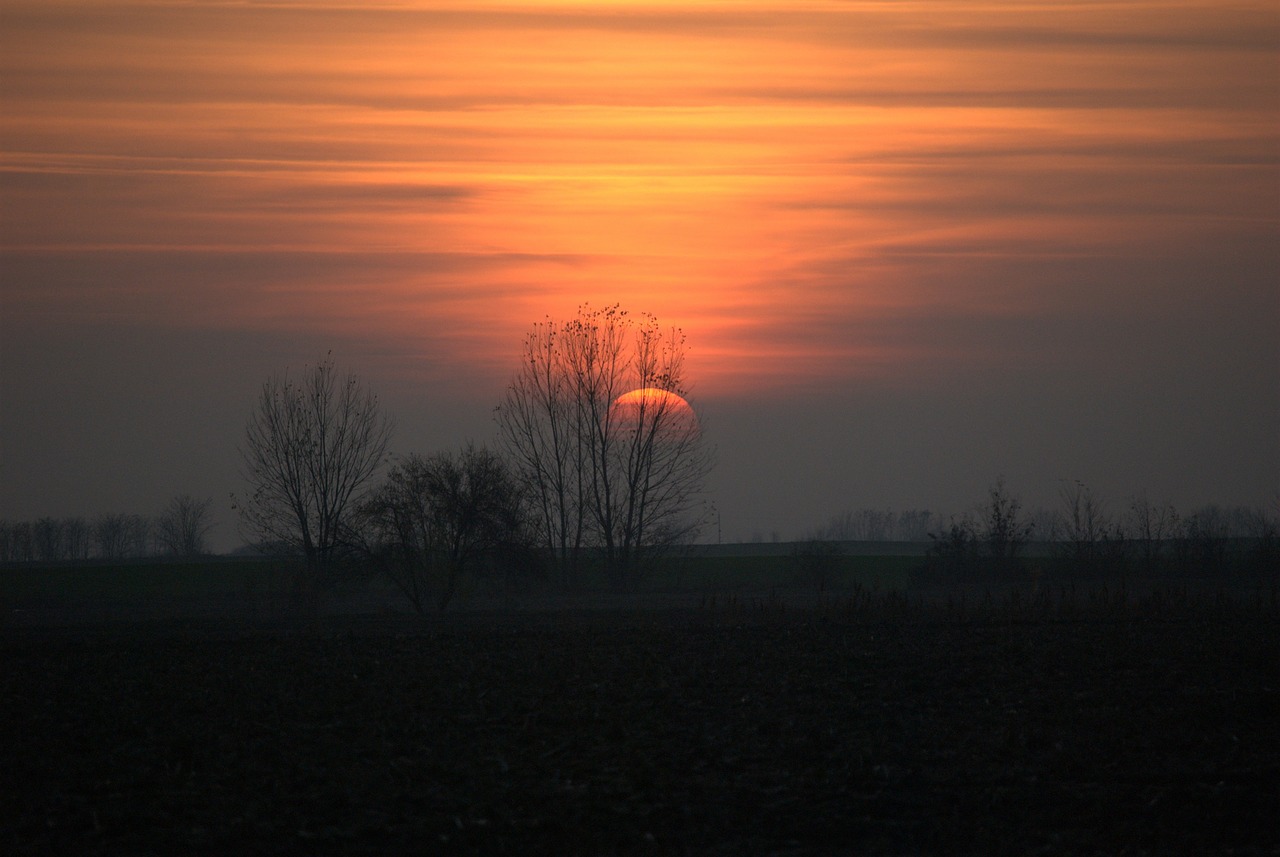 sunset lights in the evening free photo