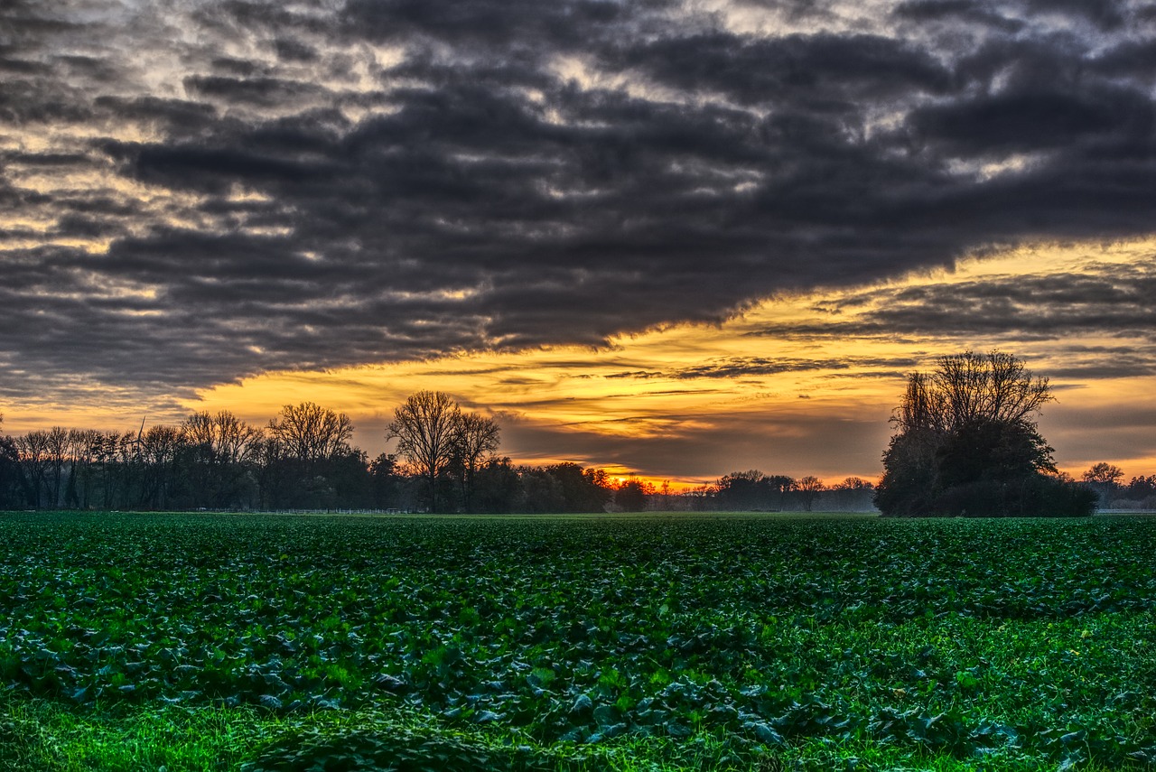 sunset clouds mood free photo