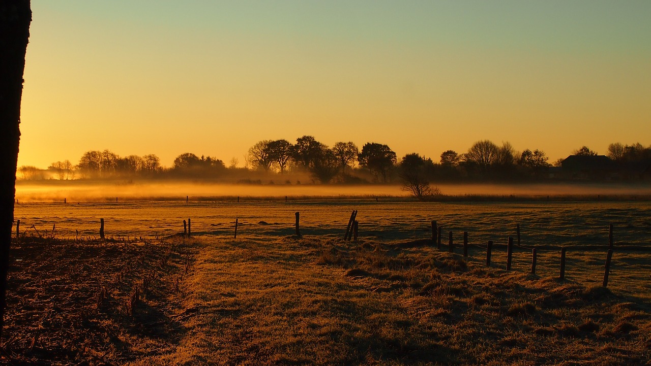 sunset dawn evening free photo