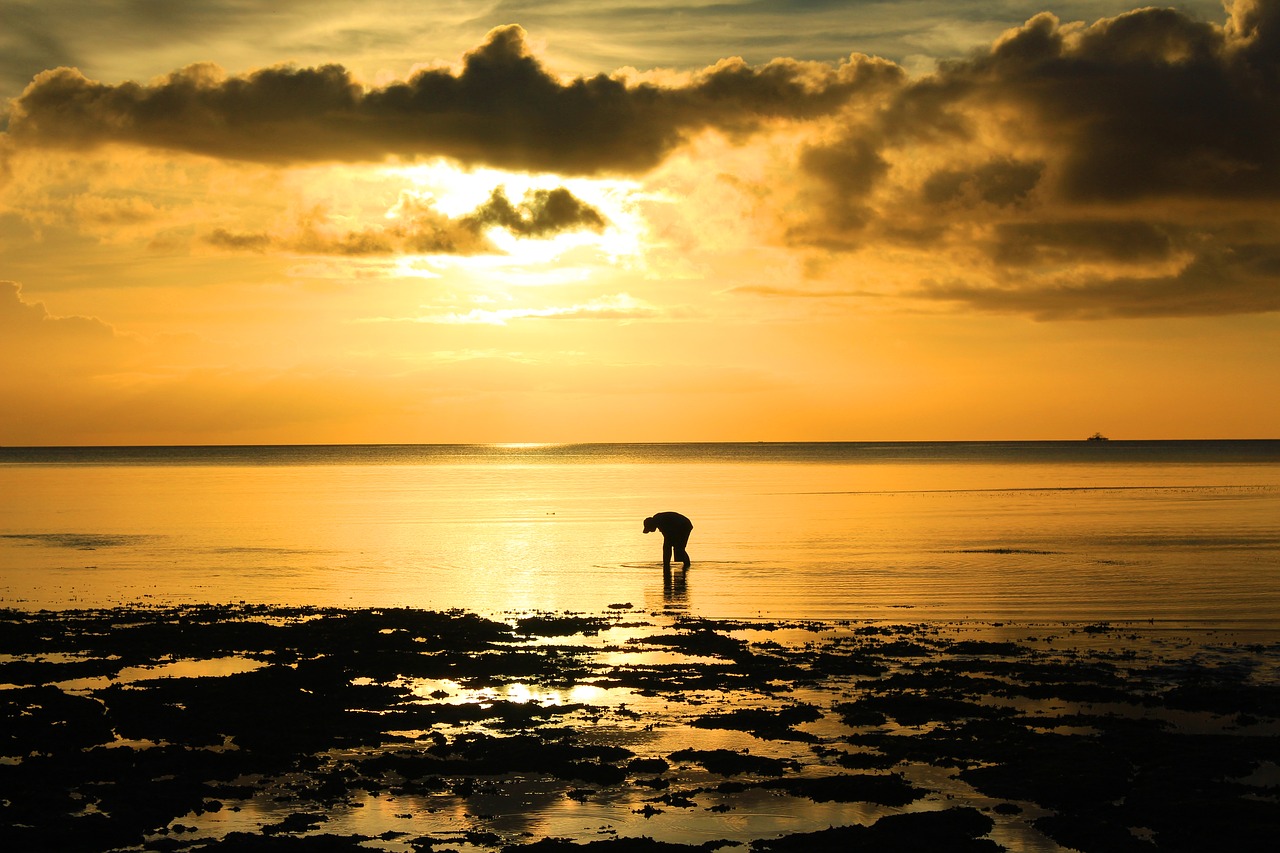 sunset beach kei islands free photo