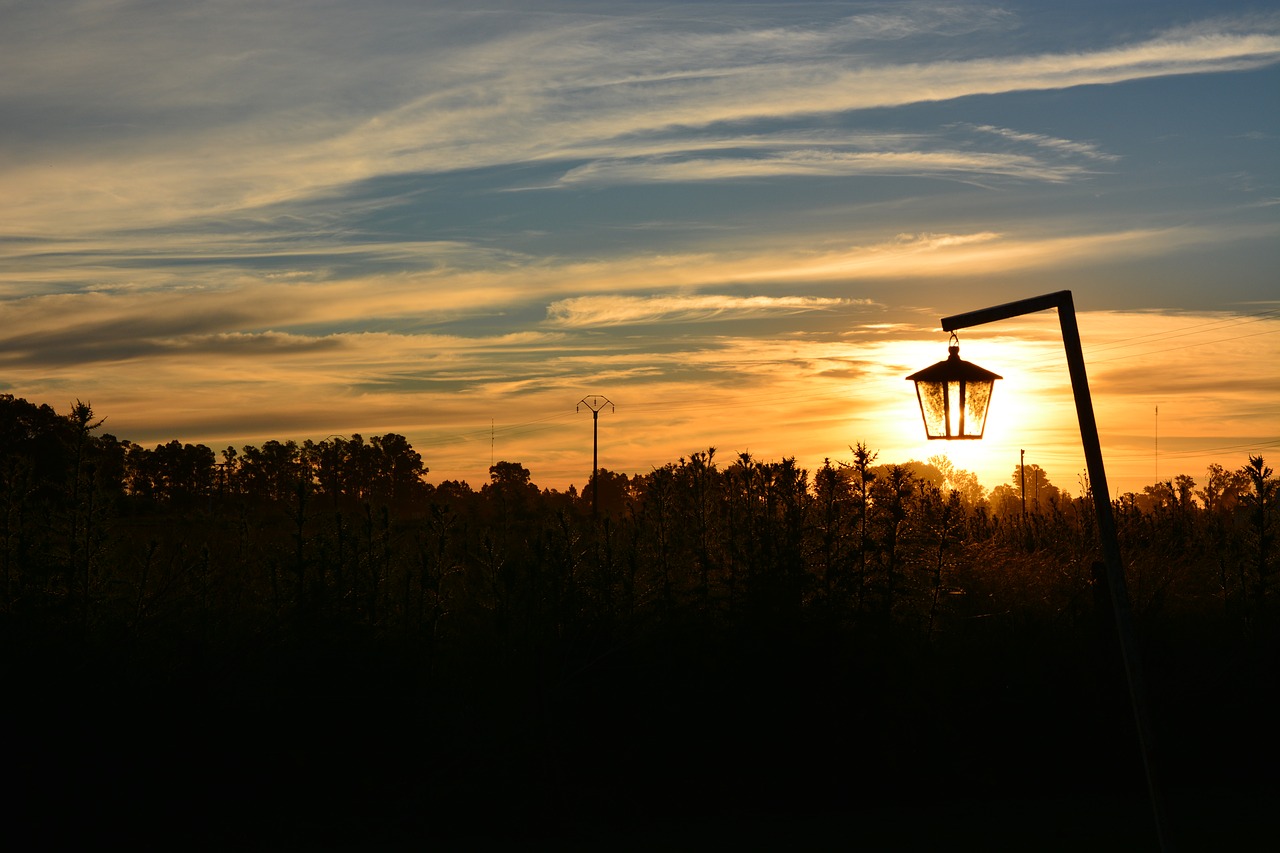 sunset contrast backlight free photo