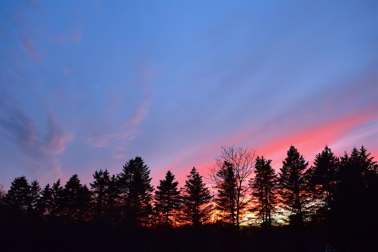 sunset sky silhouette free photo