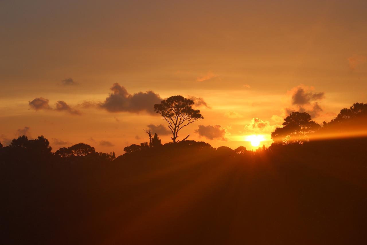 sunset evening landscape free photo