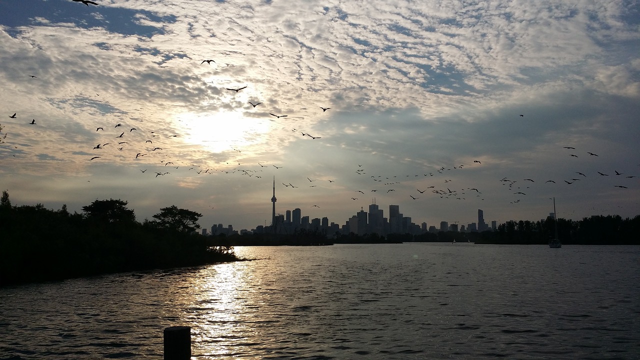 sunset toronto tommy tompson park free photo