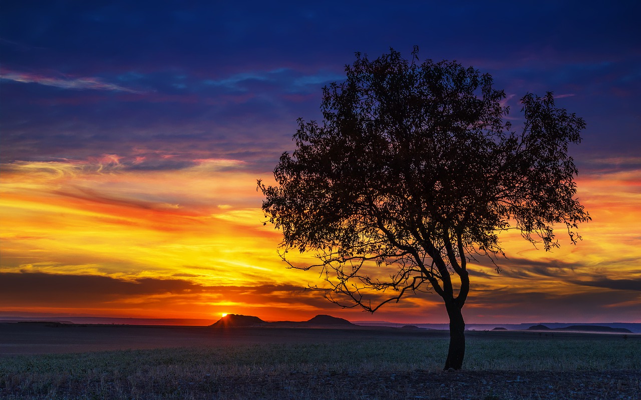 sunset nature the dawn family free photo