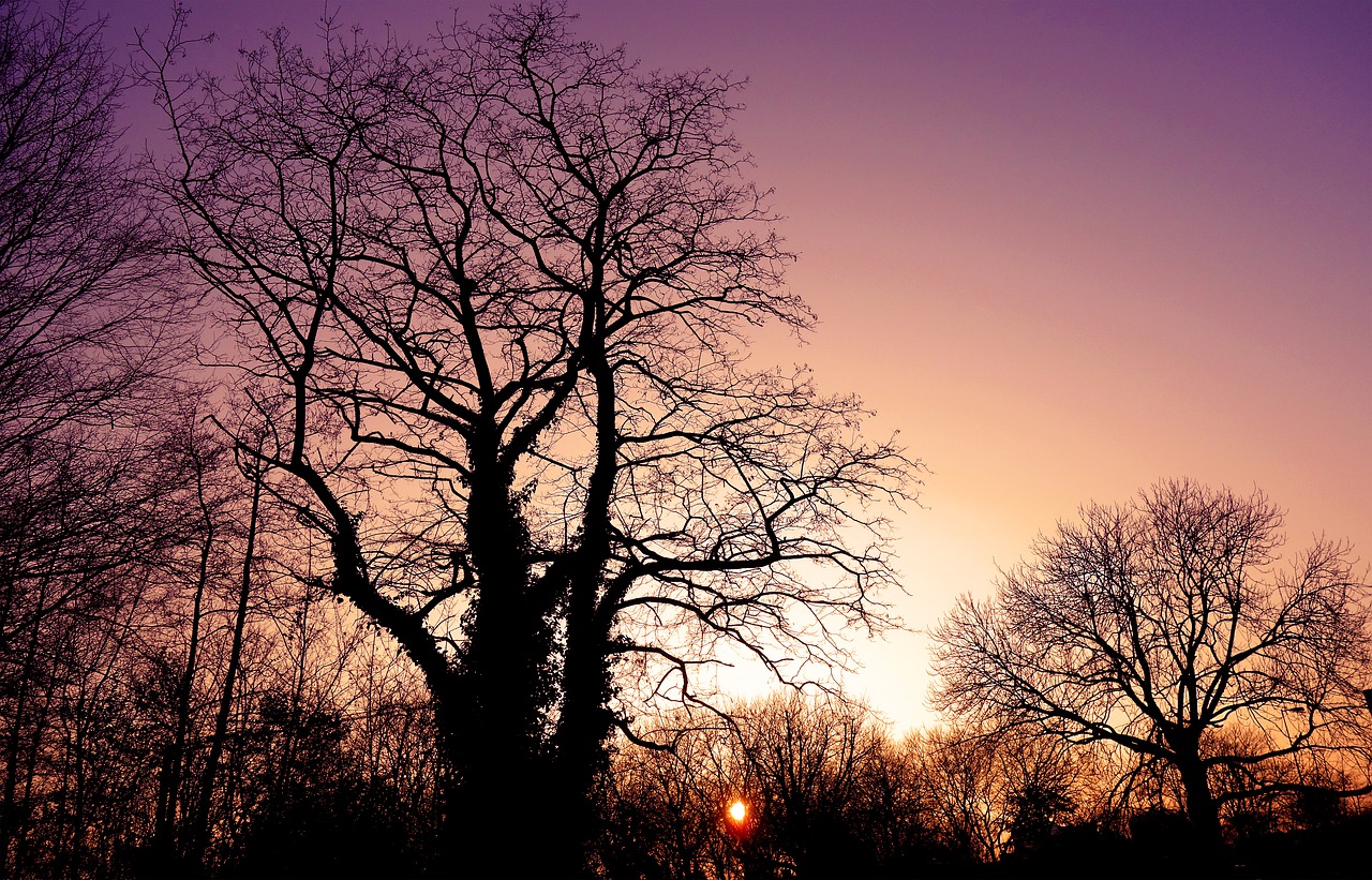 sunset sunset skies silhouette free photo