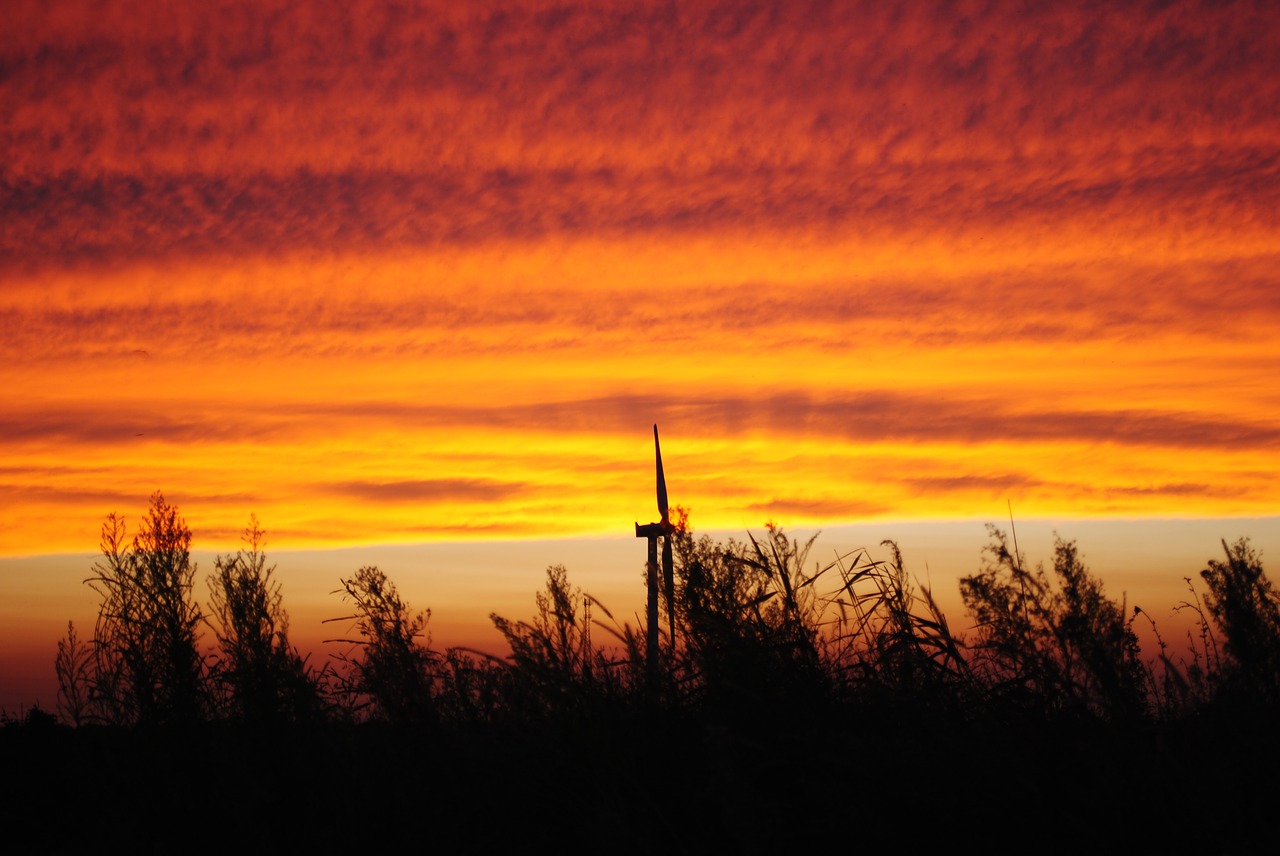 sunset dawn silhouette free photo