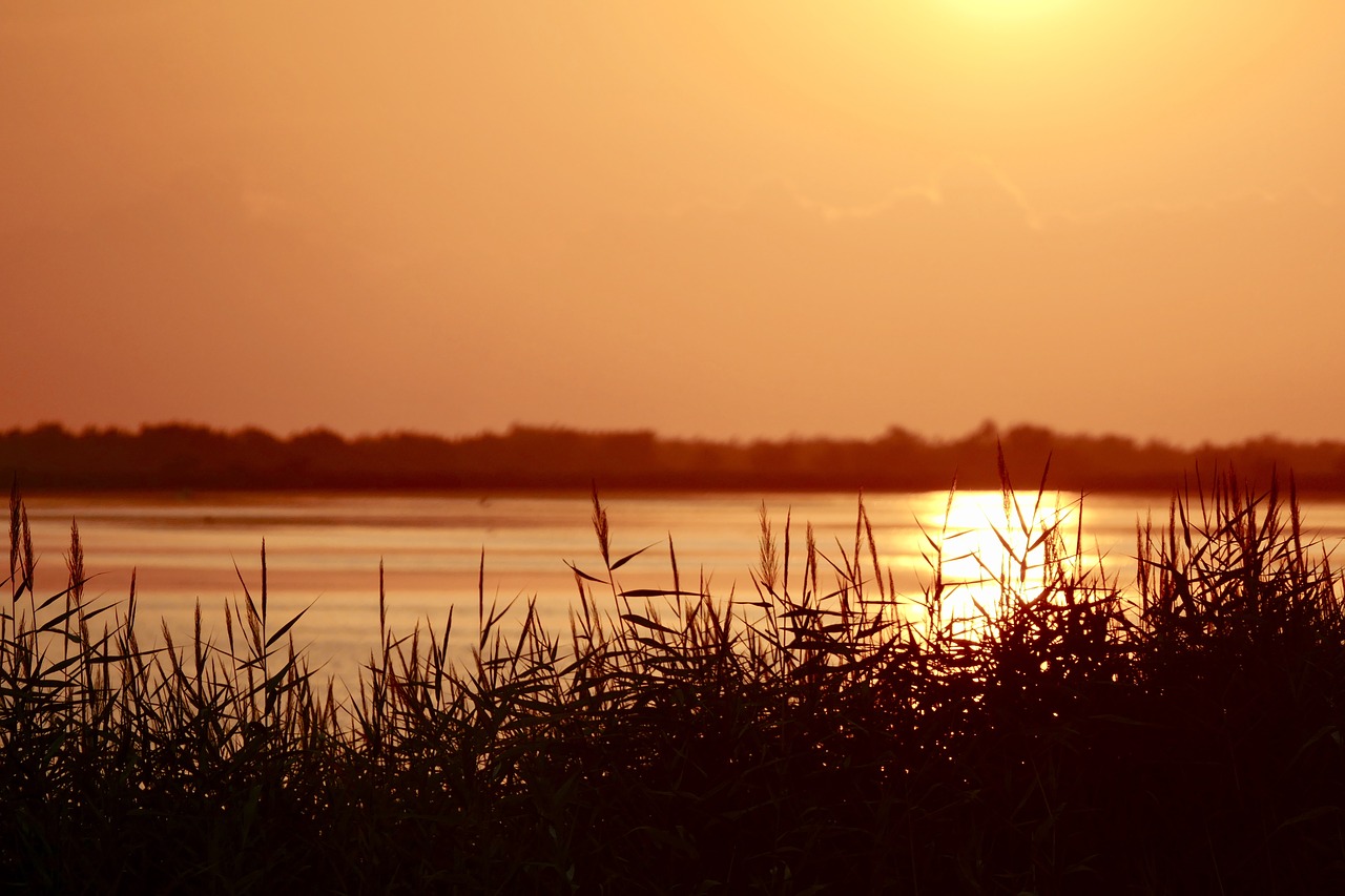 sunset waters dawn free photo