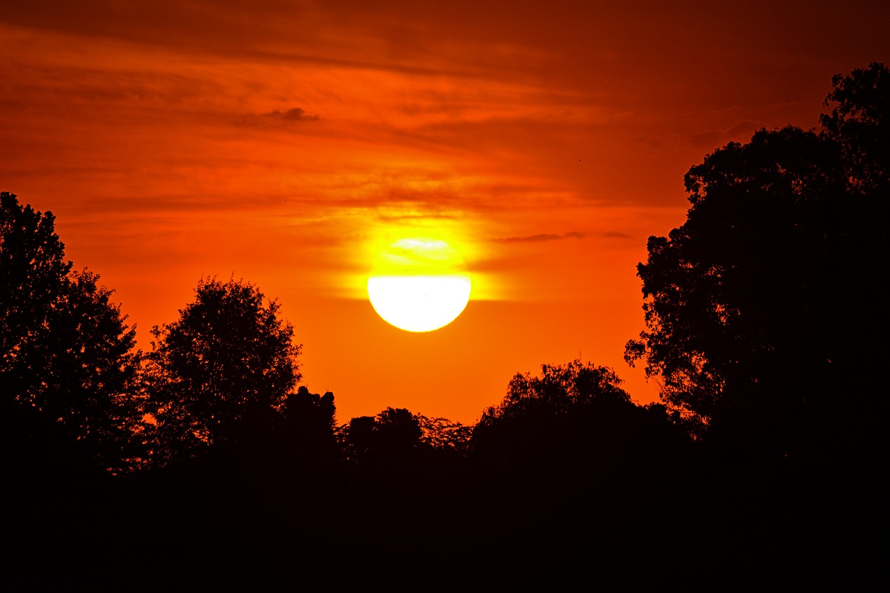 sunset sun silhouette free photo