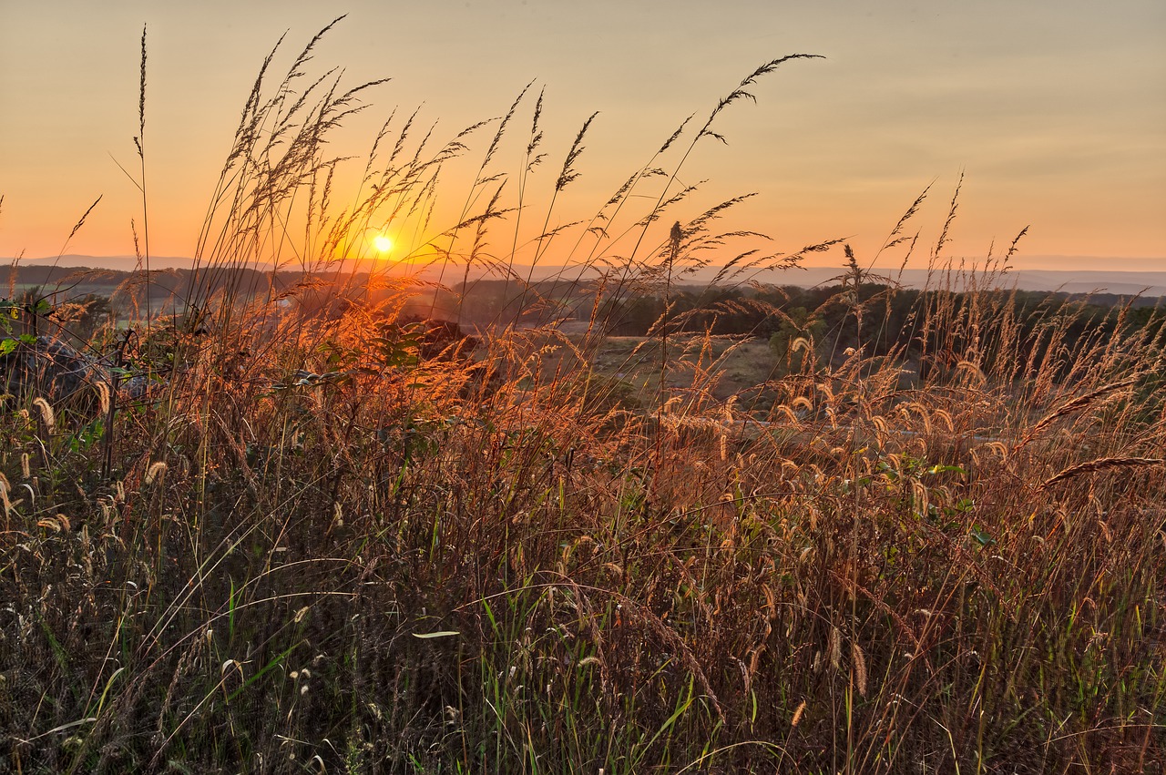 sunset nature sky free photo