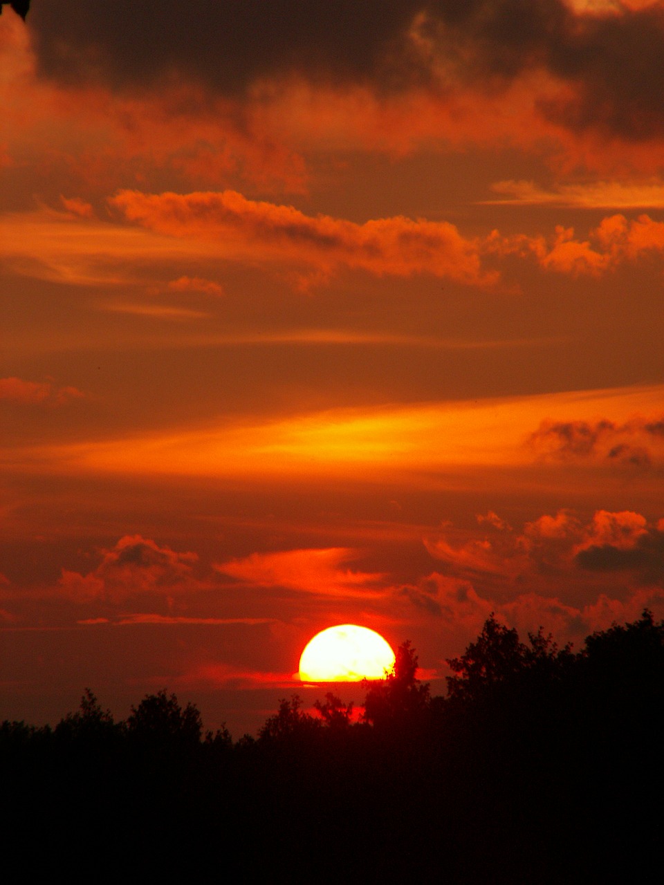 sunset the sun at the court of free photo