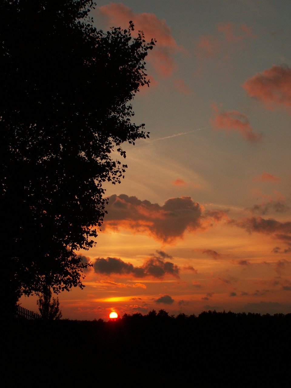 sunset tree the sun free photo