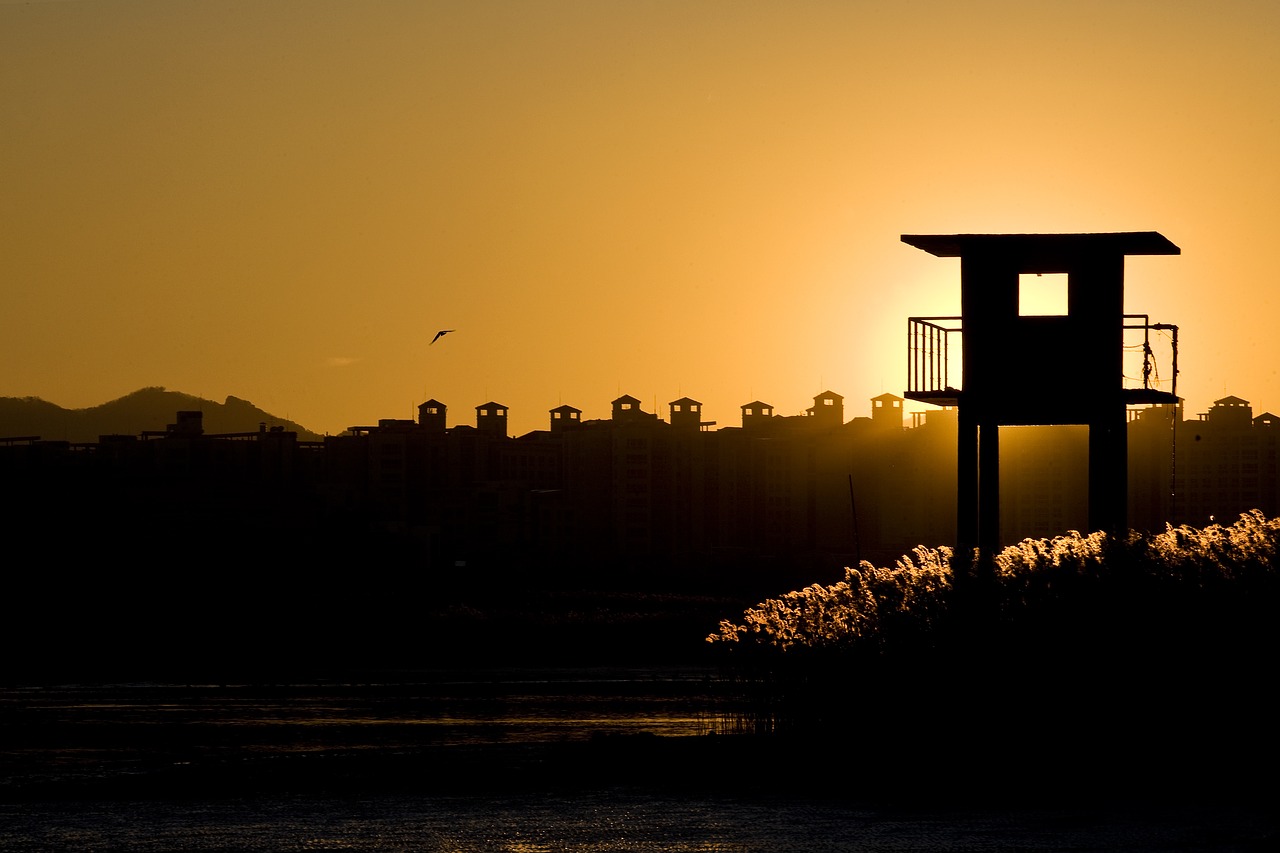 sunset silhouette glow free photo