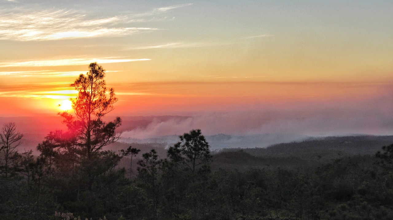 sunset nature dawn free photo