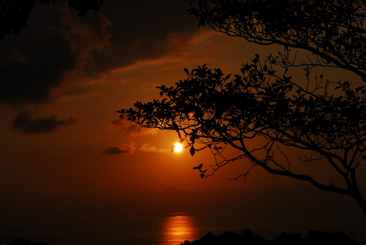 sunset silhouette dusk free photo