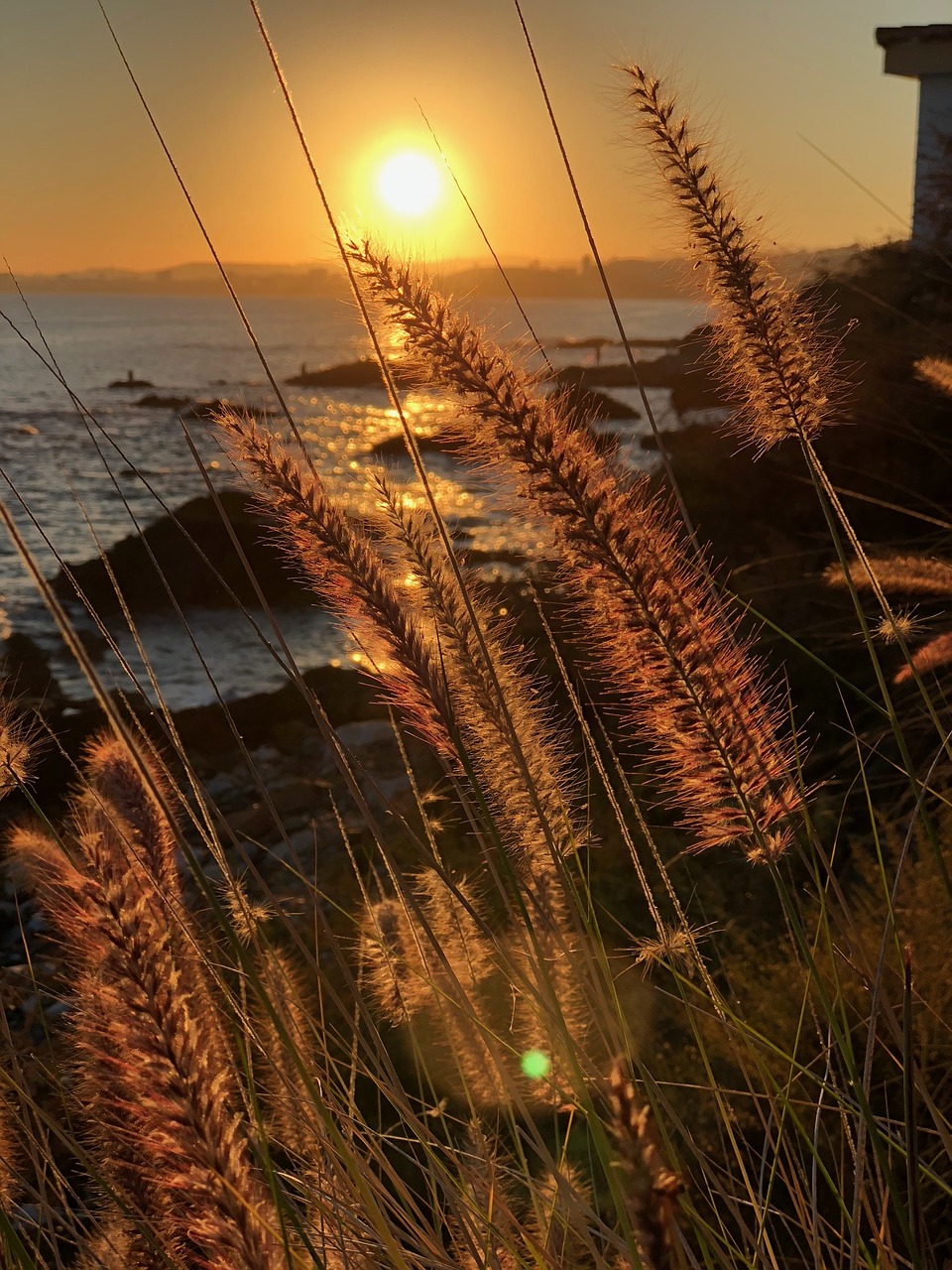 sunset nature outdoors free photo