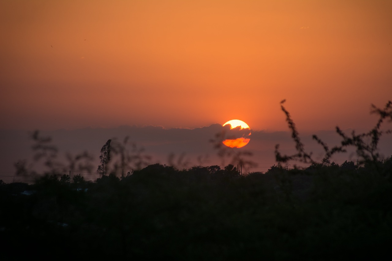 sunset dawn silhouette free photo