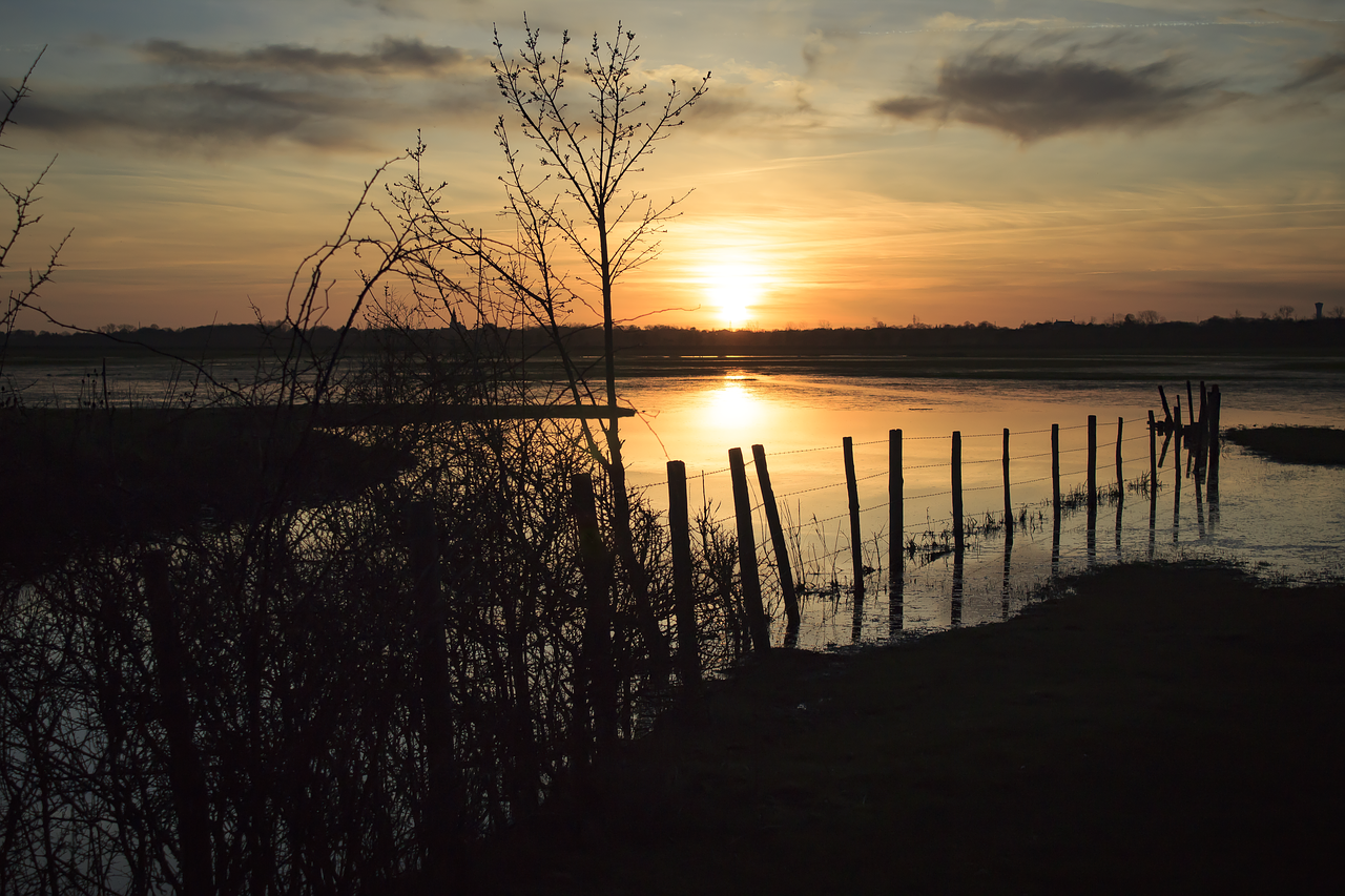 sunset body of water marsh free photo