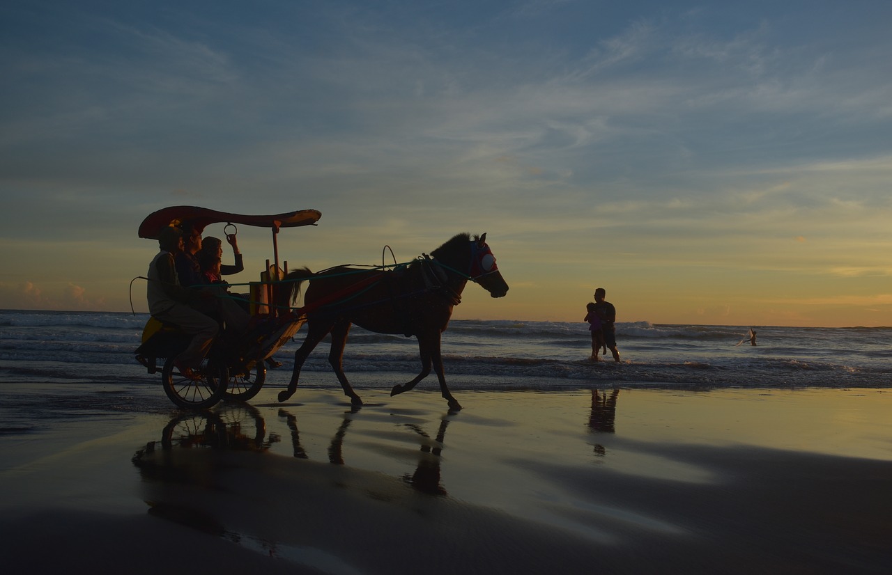 sunset dusk beach free photo