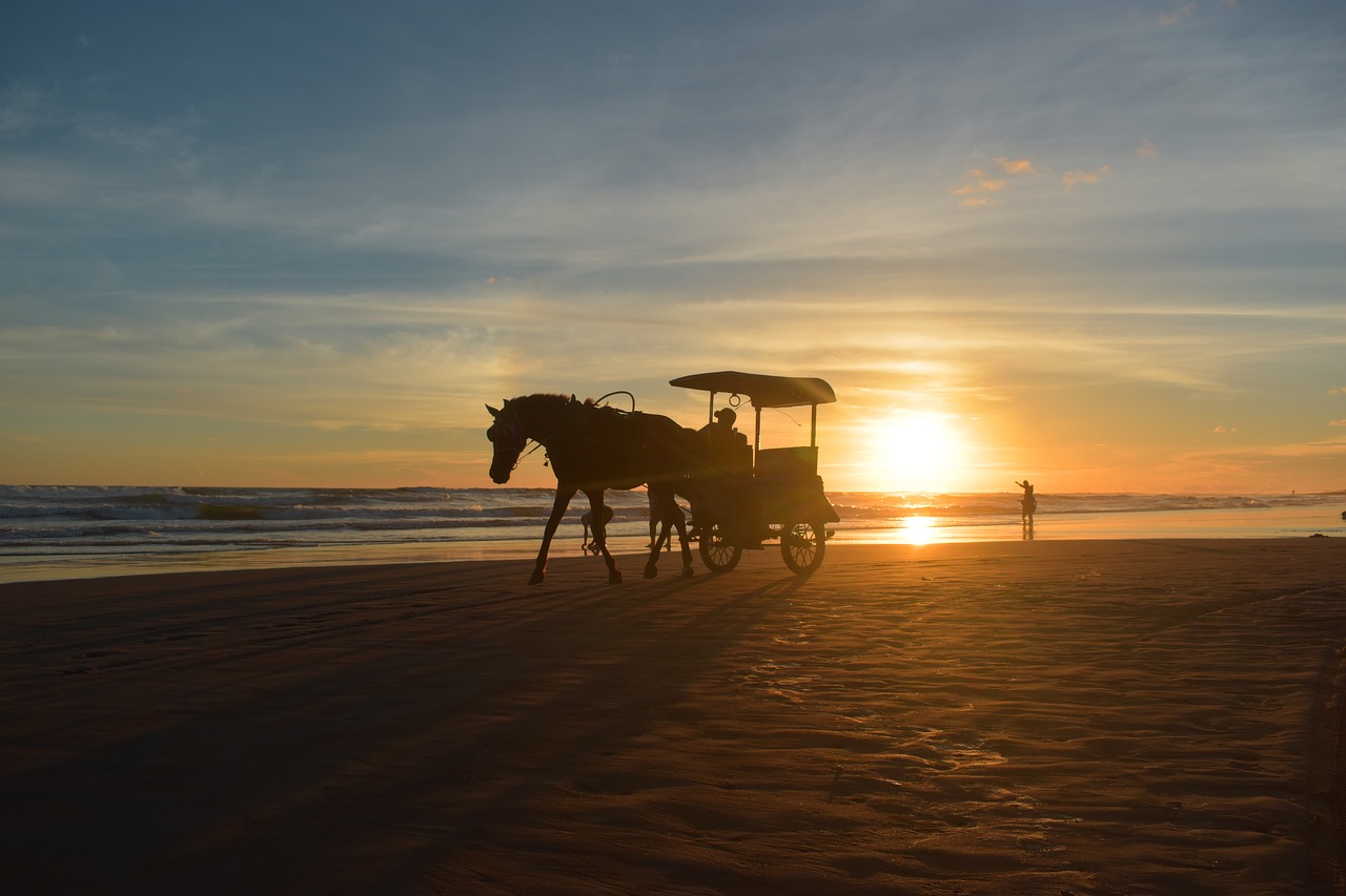 sunset silhouette beach free photo