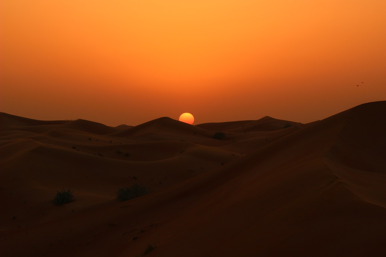 sunset desert dawn free photo