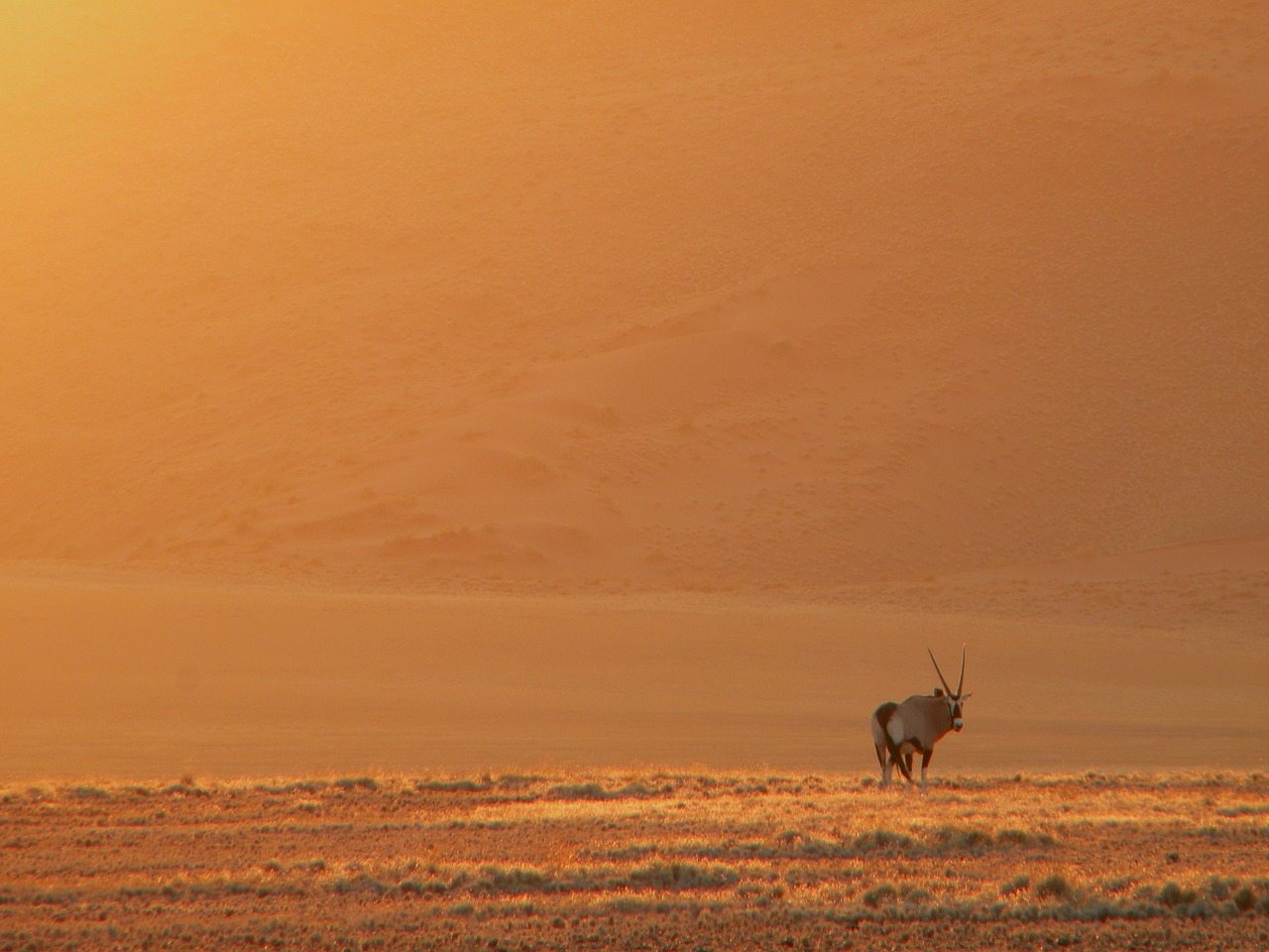 sunset dawn evening free photo