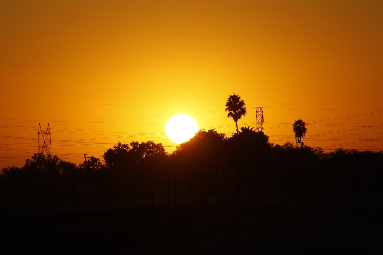 sunset silhouette dawn free photo