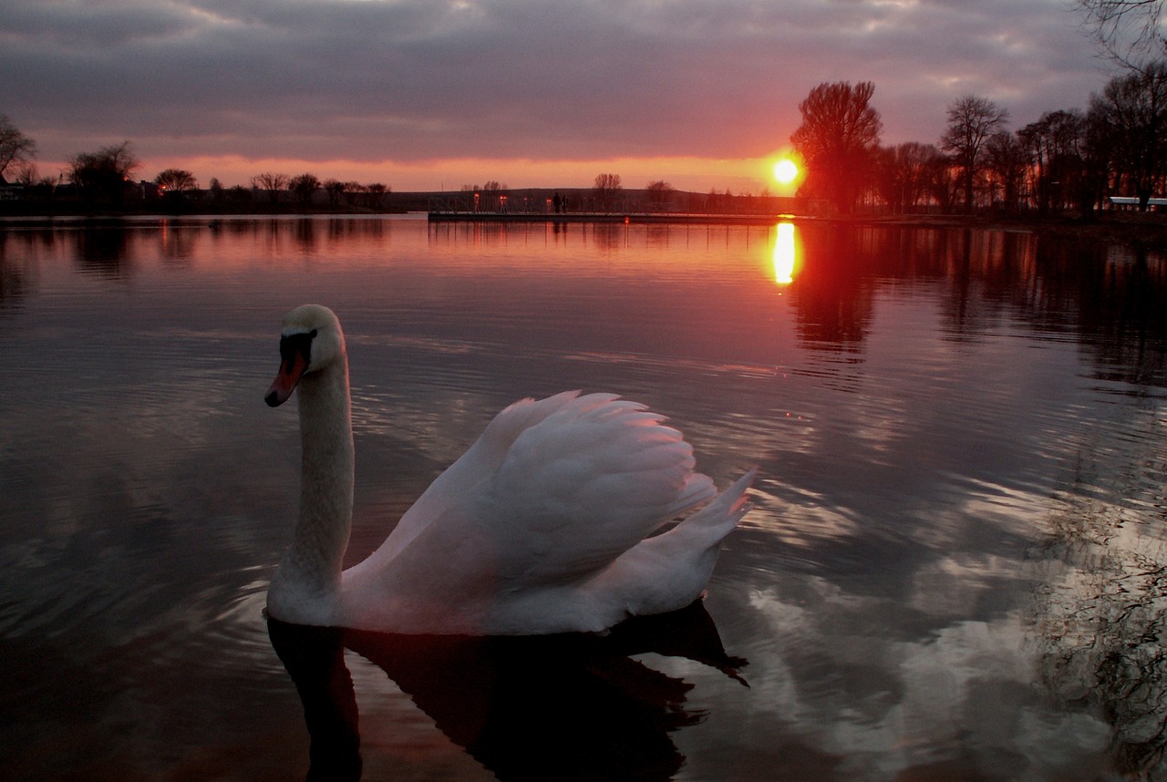 sunset nature lake free photo