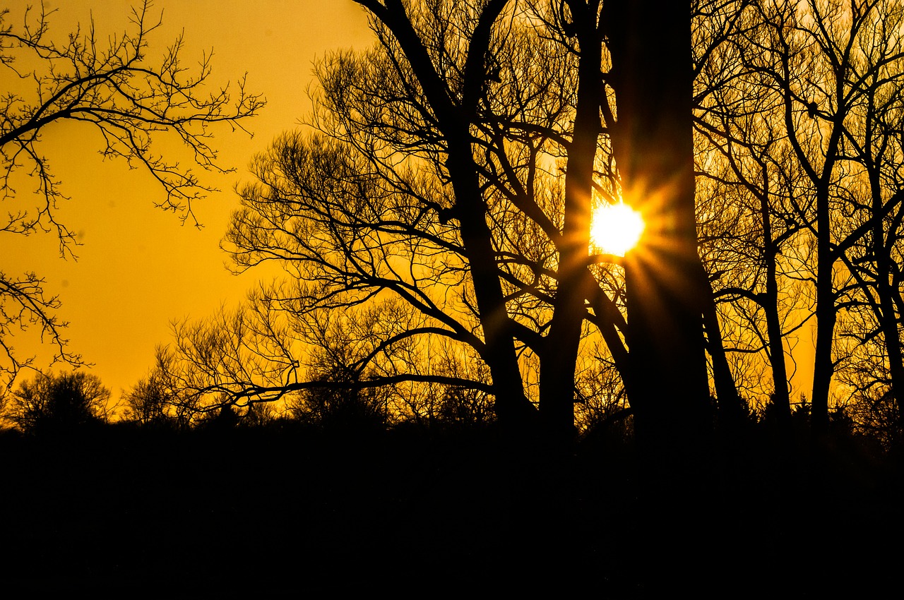 sunset sunburst landscape free photo